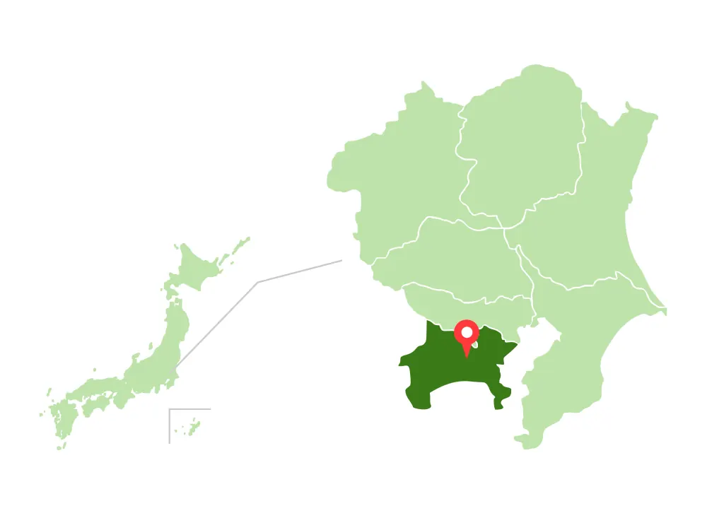 収穫したラズベリーを手に持つ様子